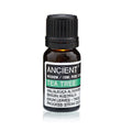 Botella de aceite esencial de árbol de té Ancient Wisdom sobre fondo blanco