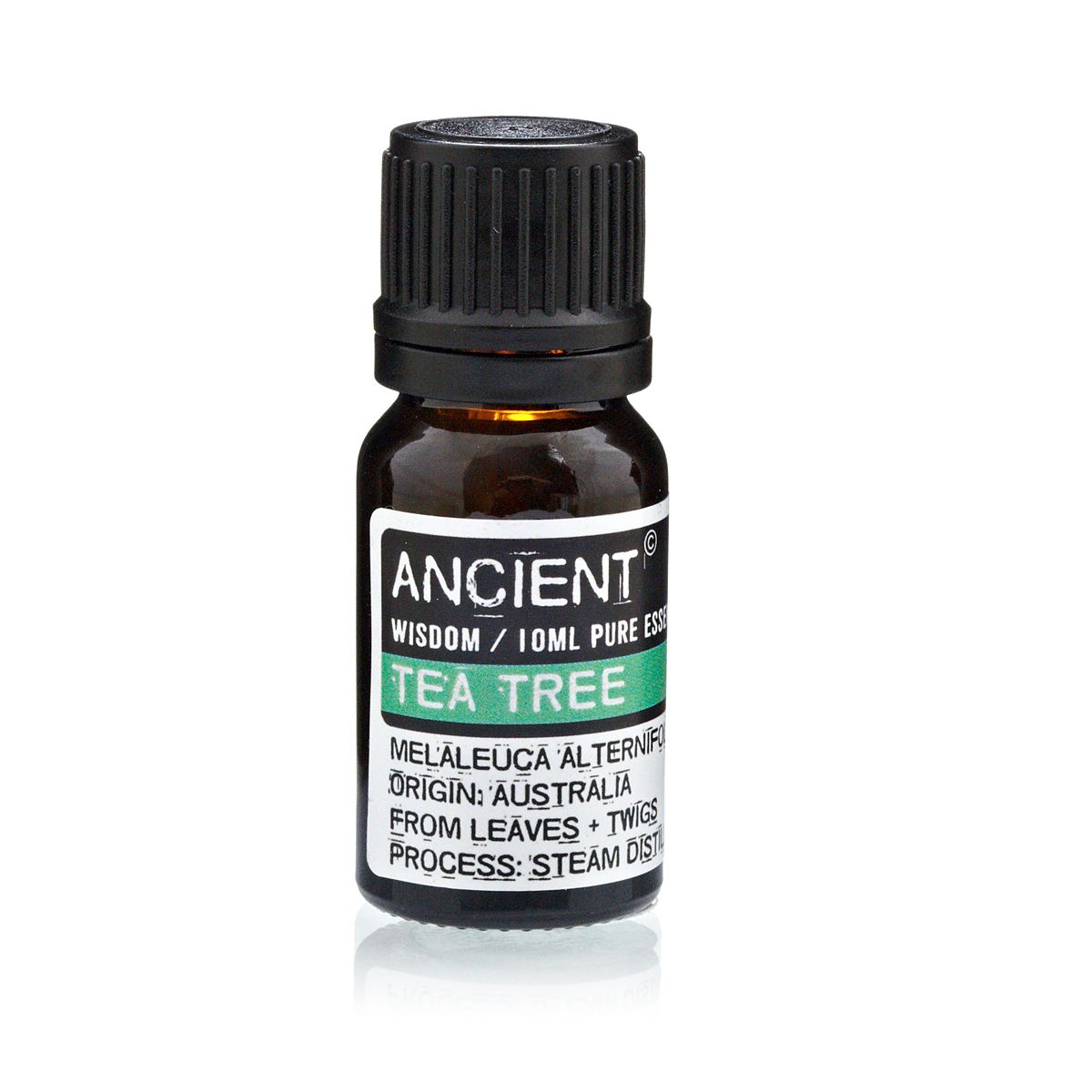 Botella de aceite esencial de árbol de té Ancient Wisdom sobre fondo blanco
